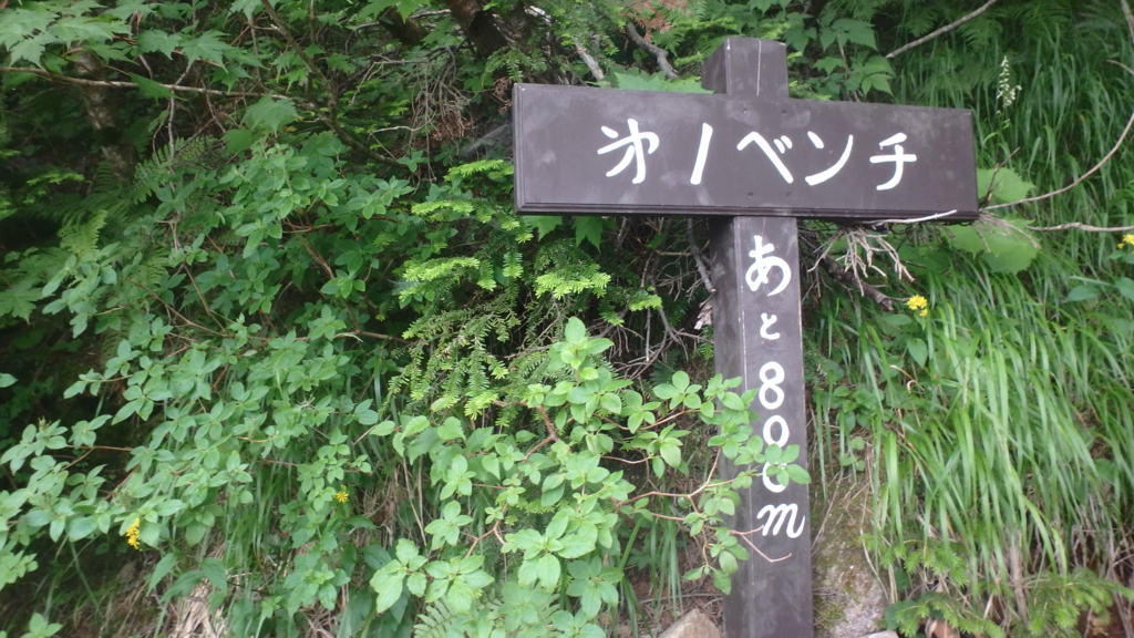 f:id:chi-sk8:20160724112257j:plain