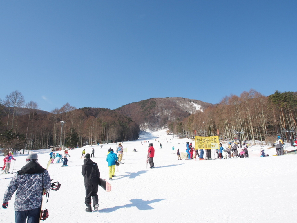 f:id:chi-sk8:20180212171625j:plain