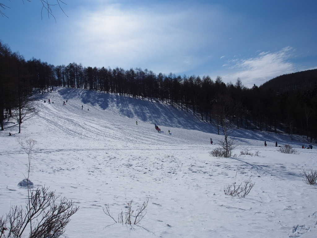 f:id:chi-sk8:20180212171919j:plain