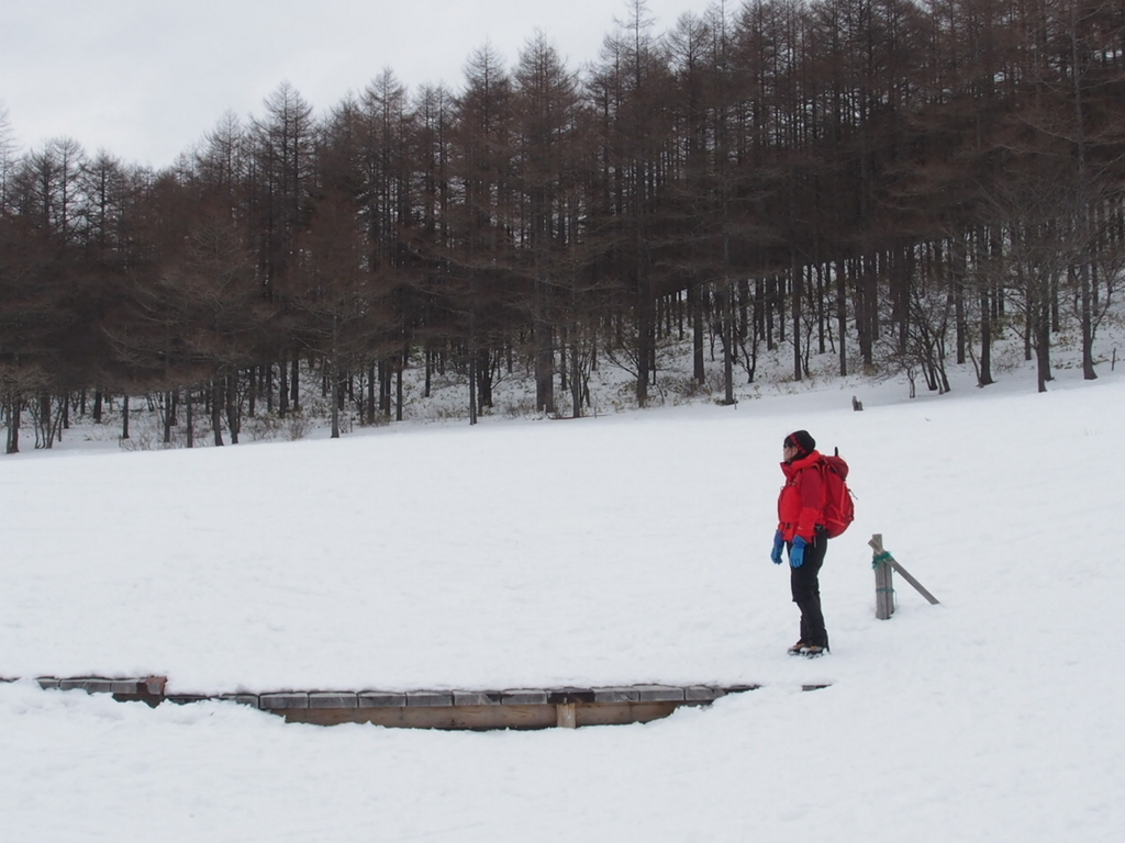 f:id:chi-sk8:20180212172845j:plain