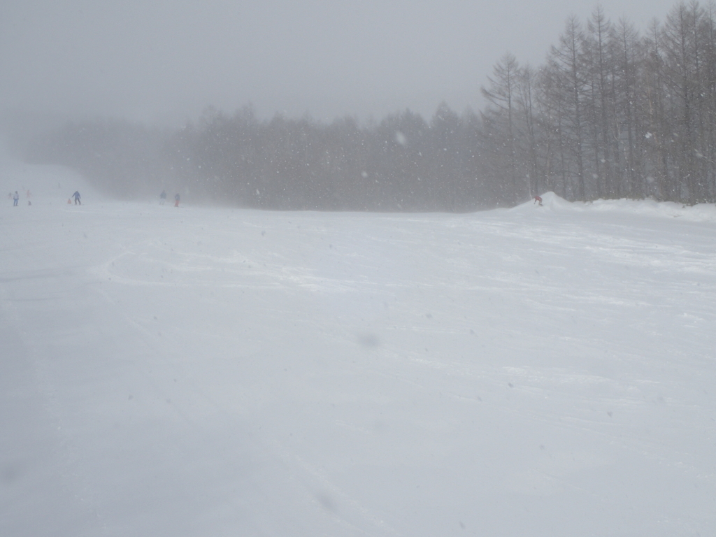 f:id:chi-sk8:20190217201939j:plain