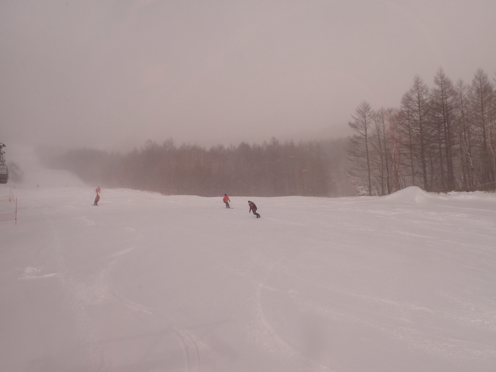 f:id:chi-sk8:20190217202130j:plain