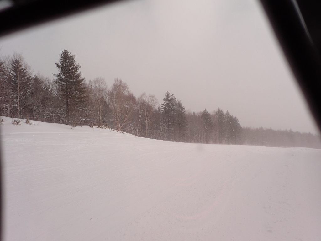 f:id:chi-sk8:20190217202516j:plain