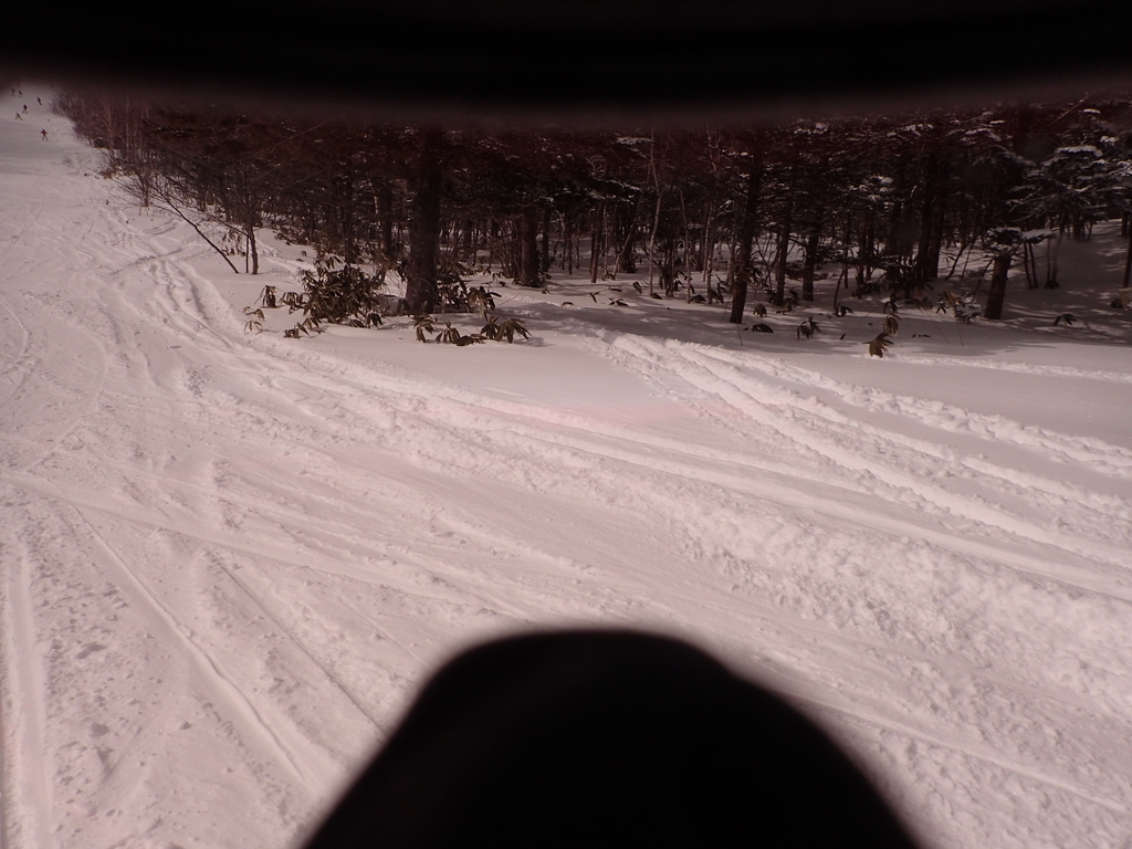 f:id:chi-sk8:20190217203054j:plain
