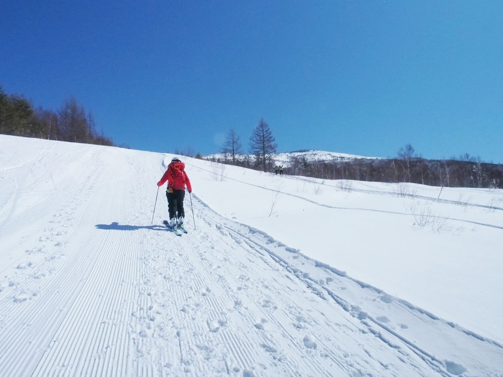 f:id:chi-sk8:20190310194453j:plain