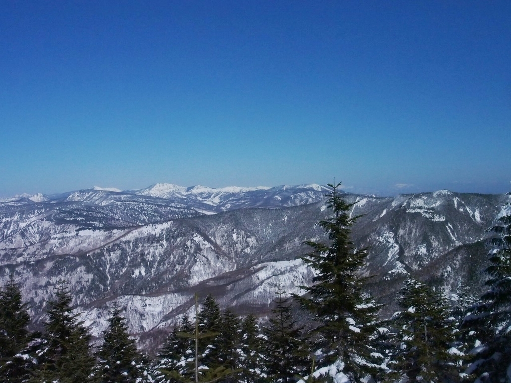 f:id:chi-sk8:20190310200401j:plain