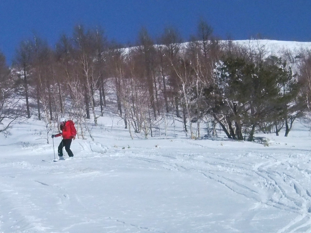 f:id:chi-sk8:20190310200739j:plain