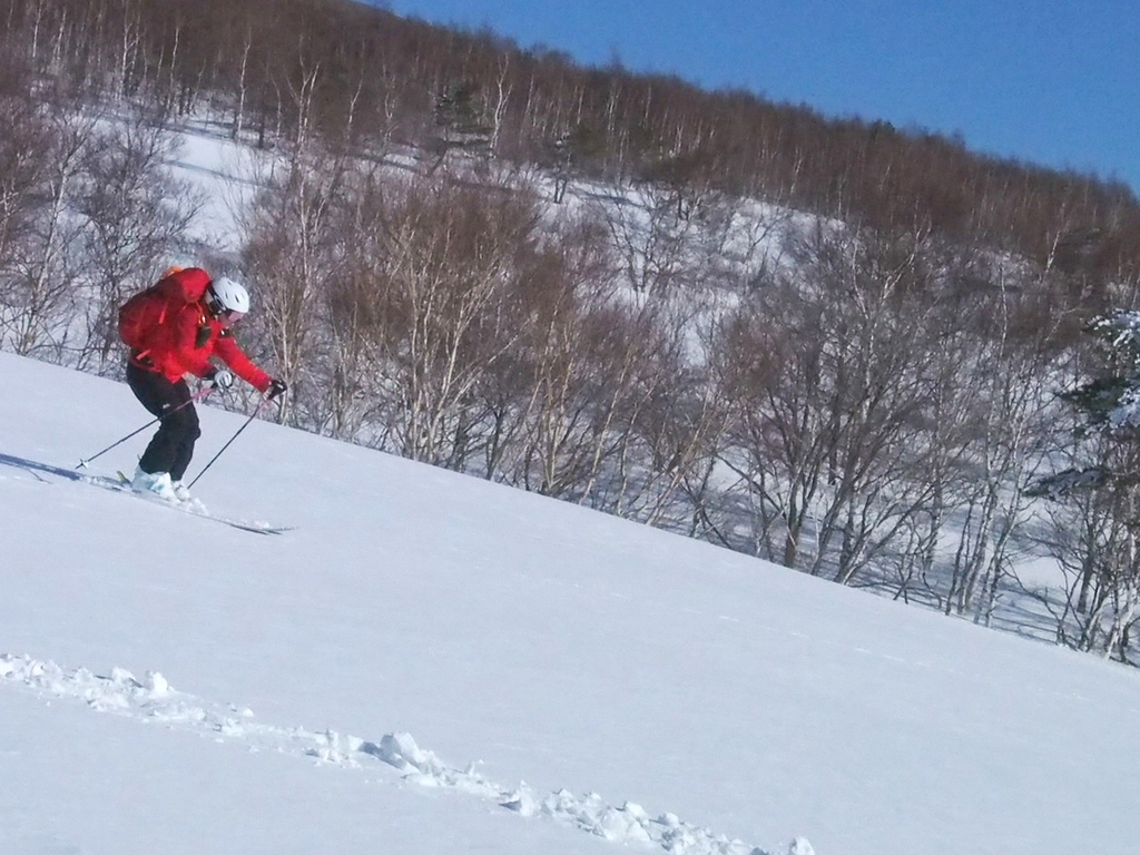 f:id:chi-sk8:20190310201204j:plain