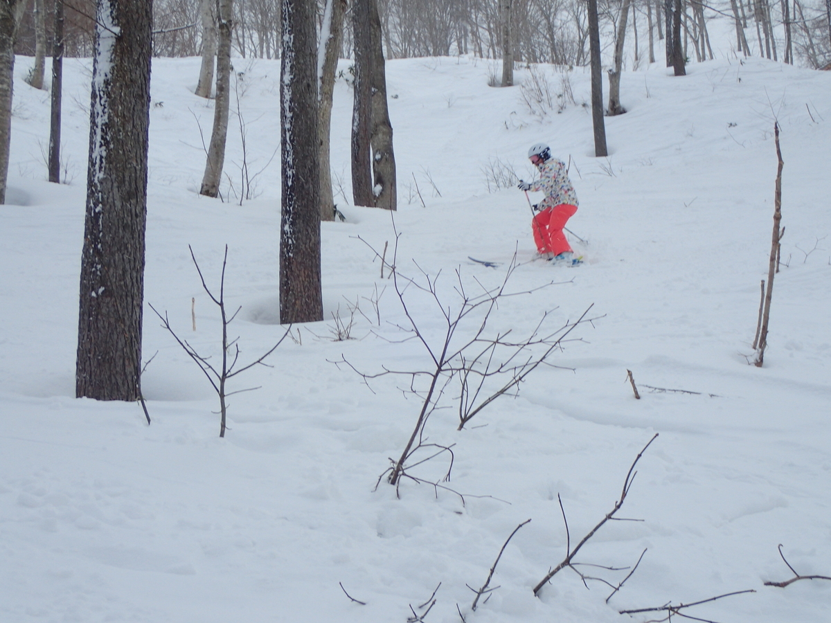 f:id:chi-sk8:20200224214604j:plain
