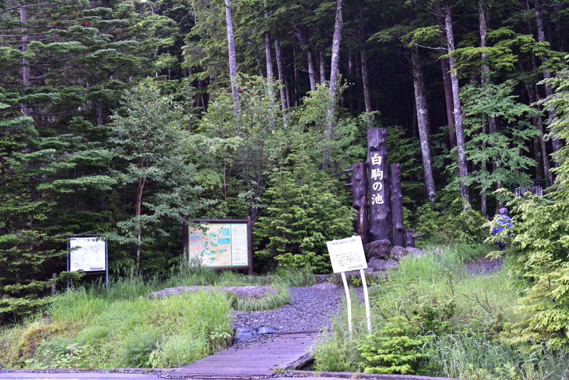 八ヶ岳 にゅう 天狗岳 日帰り縦走のポイント3つ 登山女子のぽんこつ日記 はじめての登山やコース 装備など