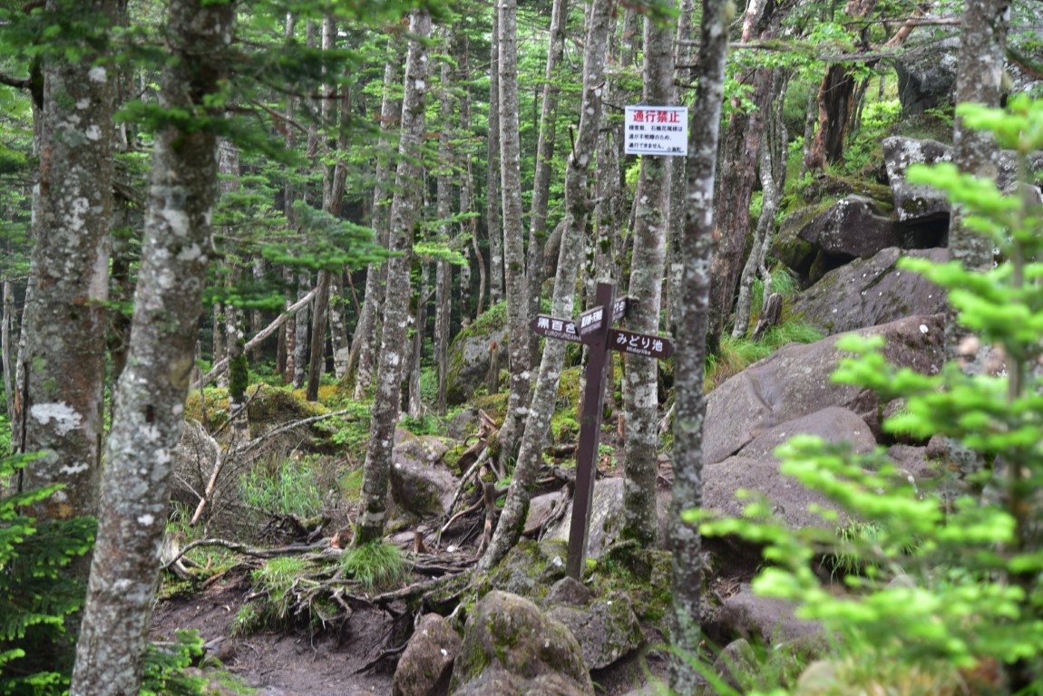 八ヶ岳 にゅう 天狗岳 日帰り縦走のポイント3つ 登山女子のぽんこつ日記 はじめての登山やコース 装備など