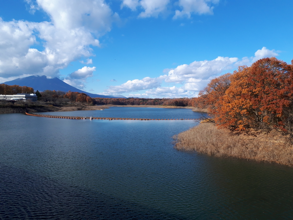 f:id:chi-tan-35:20181118153226j:plain f:id:chi-tan-35:20181118153226j:plain