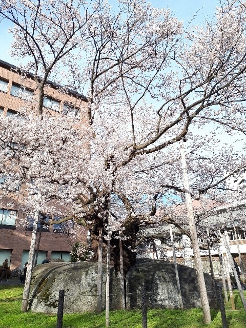 f:id:chi-tan-35:20190426200715j:plain f:id:chi-tan-35:20190426200715j:plain