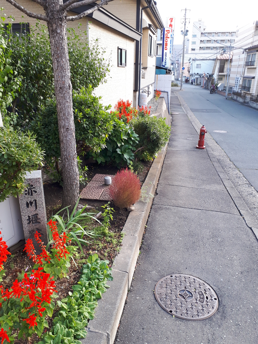 f:id:chi-tan-35:20191109133951j:plain f:id:chi-tan-35:20191109133951j:plain