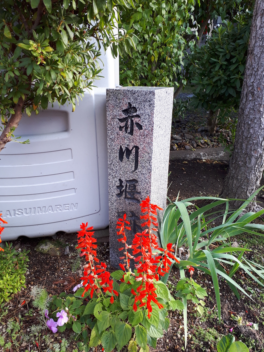 f:id:chi-tan-35:20191109133958j:plain f:id:chi-tan-35:20191109133958j:plain