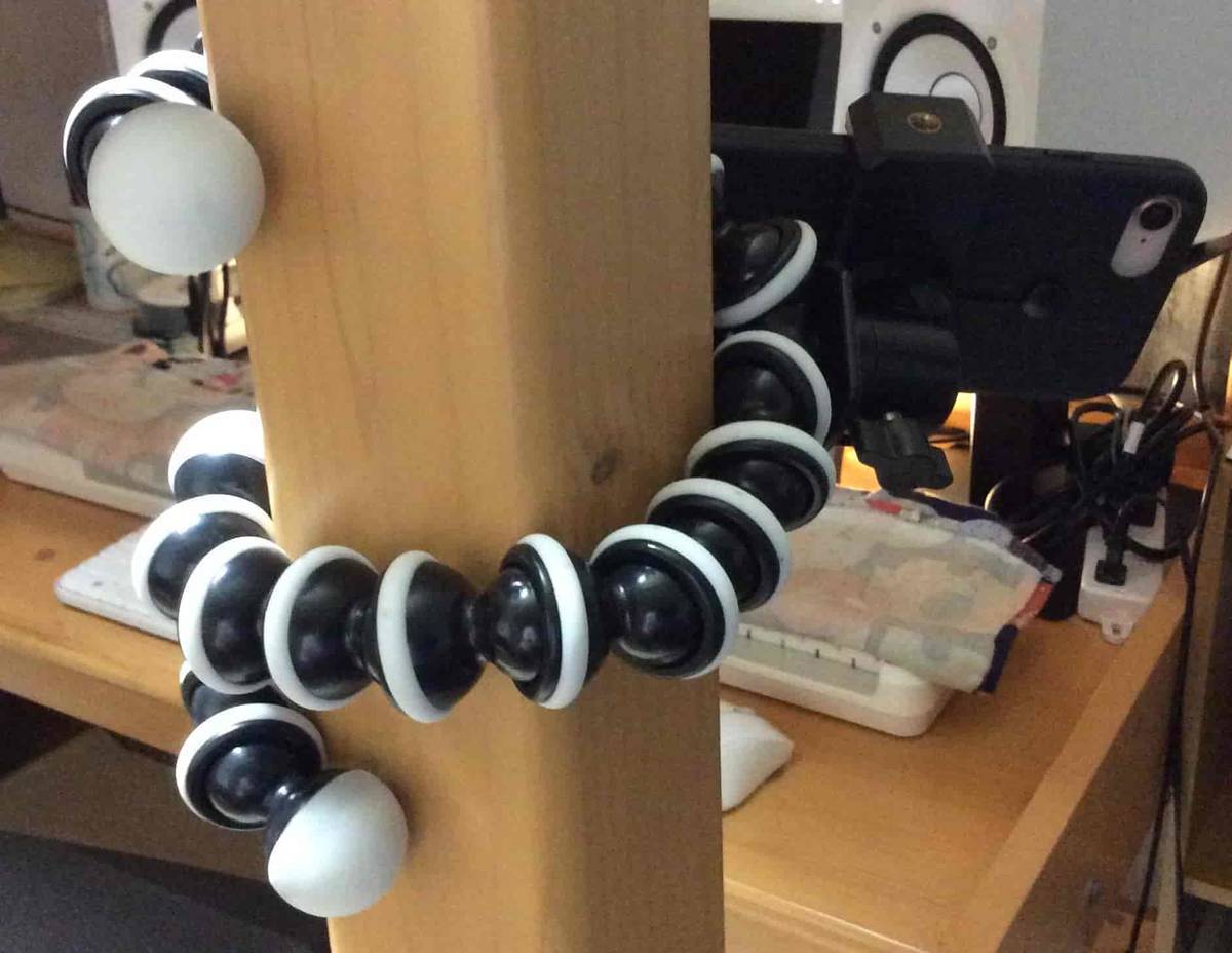 f:id:chi_hama:20190820214157j:plain f:id:chi_hama:20190820214157j:plain