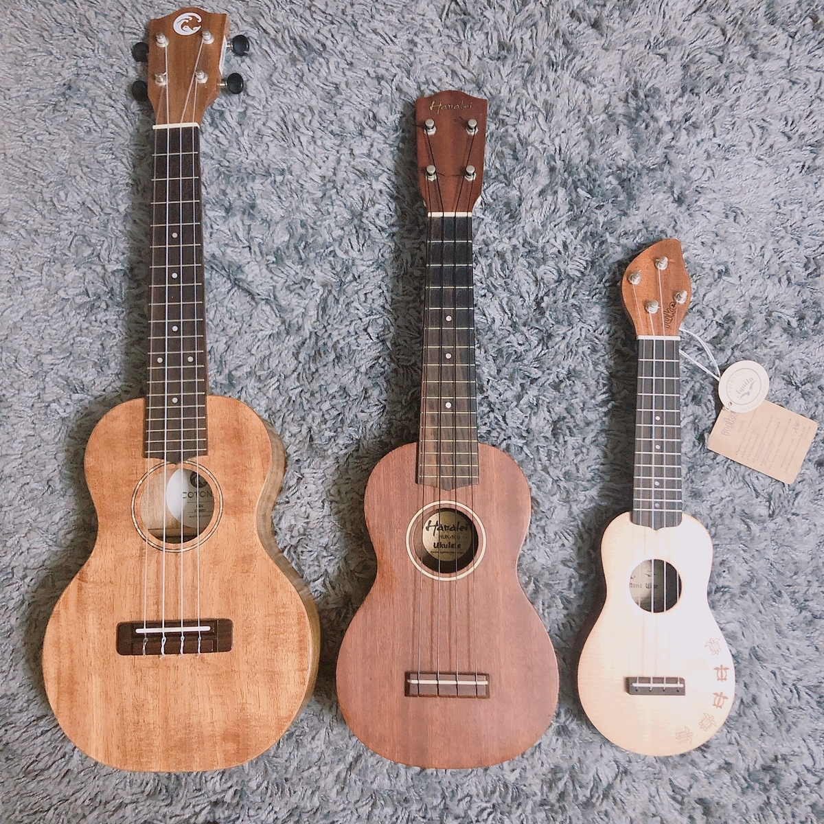 f:id:chi_haru:20191001203736j:plain f:id:chi_haru:20191001203736j:plain