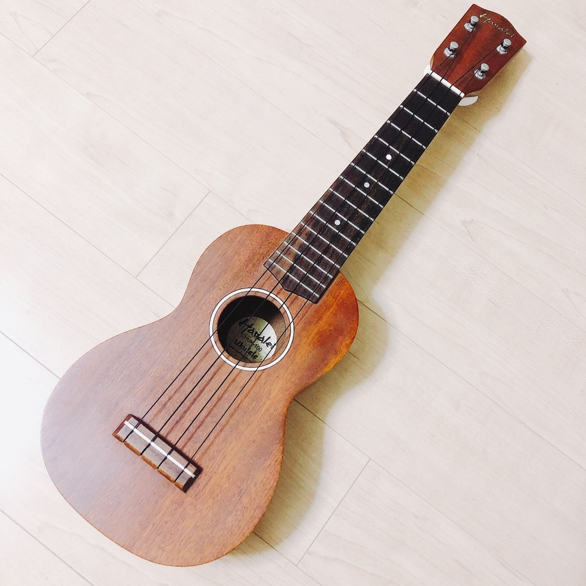 f:id:chi_haru:20191022200314j:plain f:id:chi_haru:20191022200314j:plain