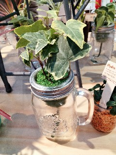 f:id:chi_kono:20230110131224j:image f:id:chi_kono:20230110131224j:image