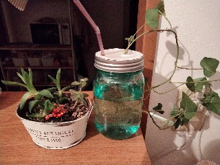 f:id:chi_kono:20230110131425j:image f:id:chi_kono:20230110131425j:image