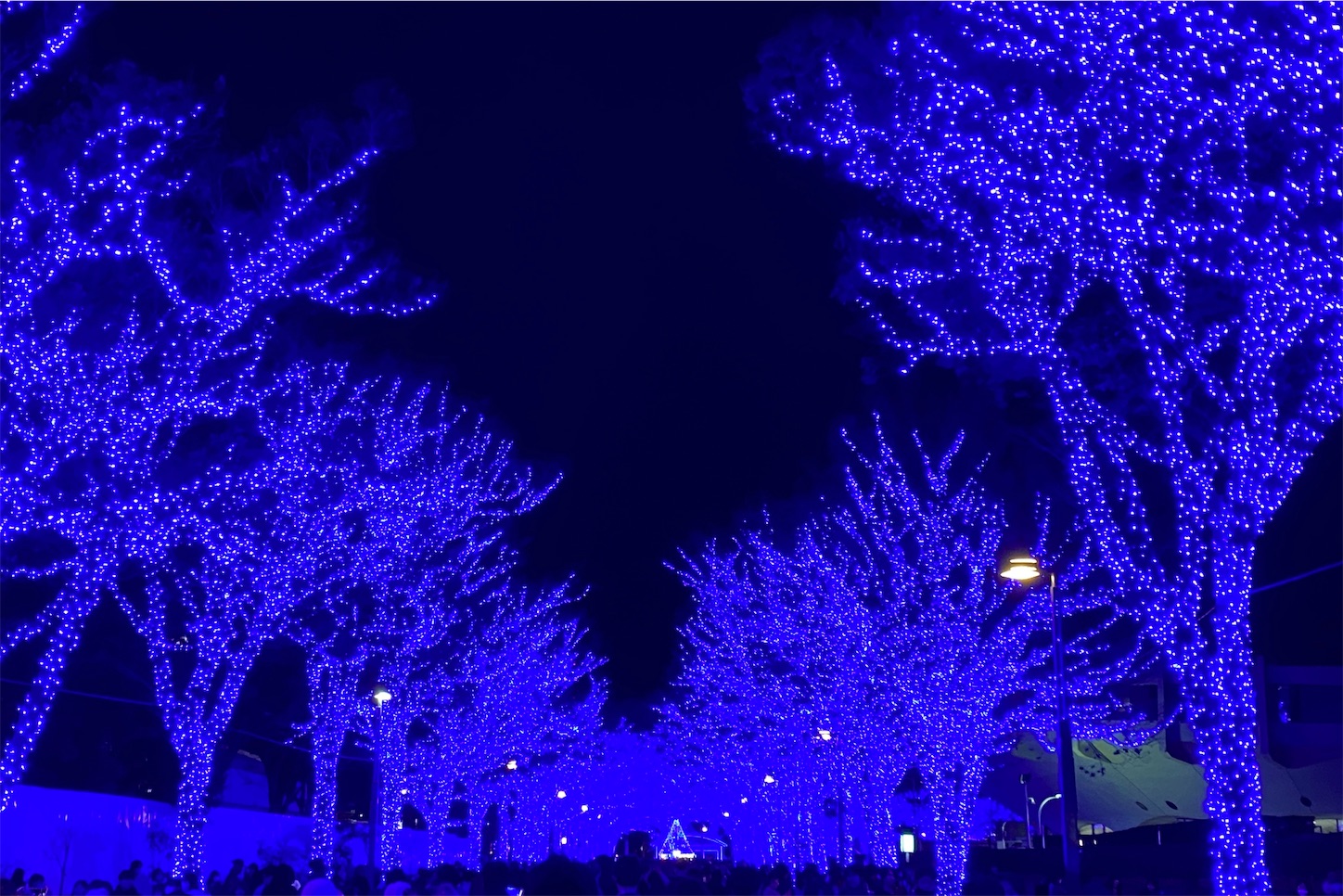 f:id:chi_marok:20231217233527j:image