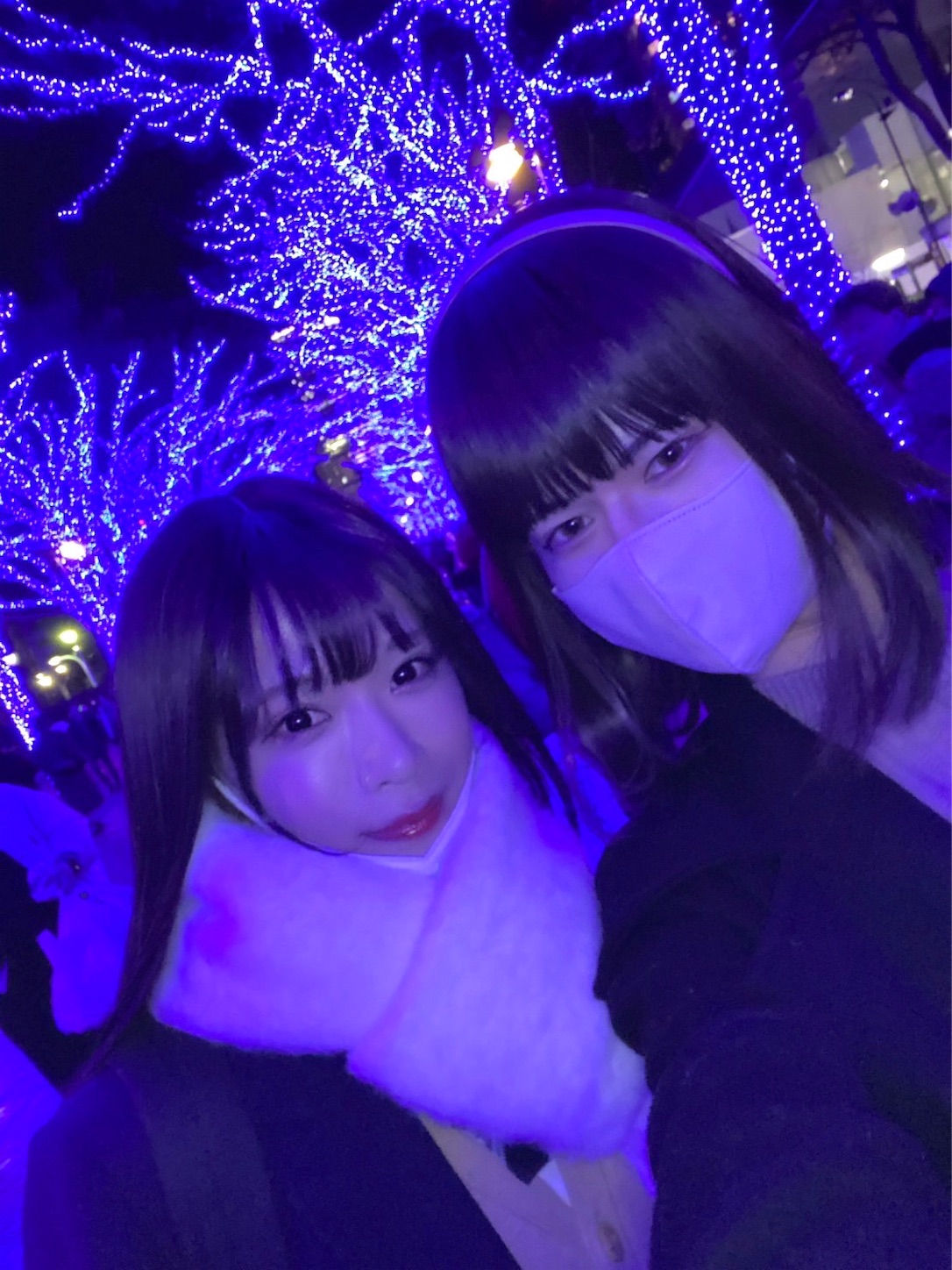 f:id:chi_marok:20231221084810j:image