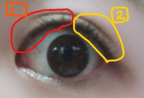 f:id:chi_monluv:20200408230204j:plain