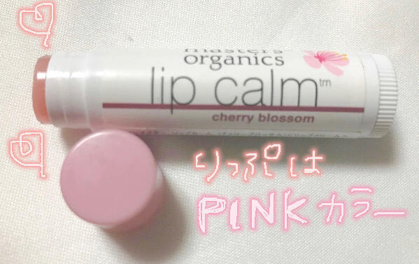 f:id:chi_monluv:20200901154248j:plain