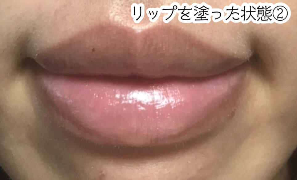 f:id:chi_monluv:20200901160503j:plain