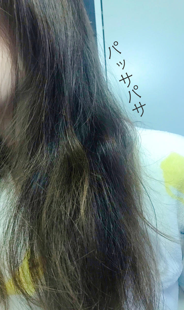 f:id:chi_monluv:20210303150814j:plain