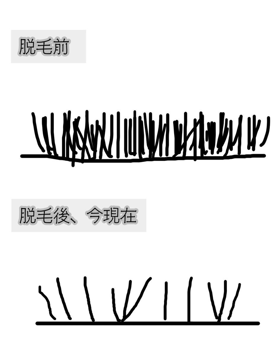 f:id:chi_monluv:20210310172930j:plain