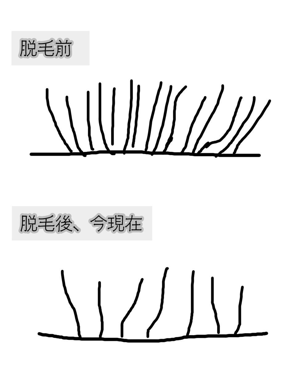 f:id:chi_monluv:20210310173820j:plain