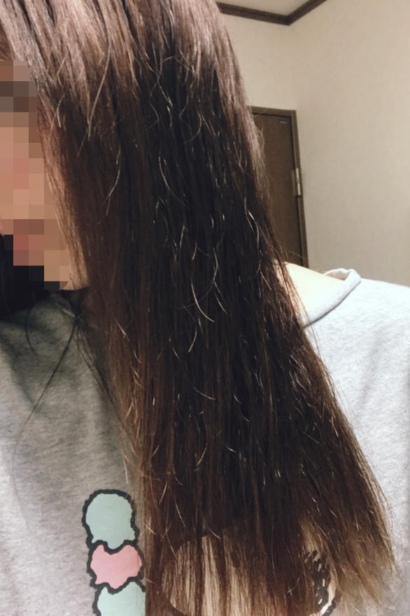 f:id:chi_monluv:20210516004102j:plain