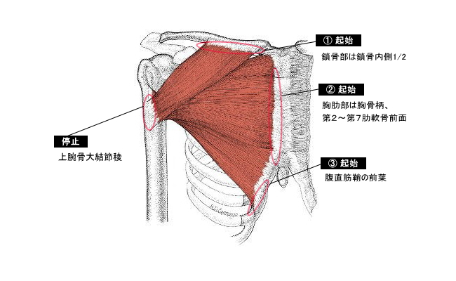 f:id:chi_tana:20170122180300p:plain:w560 f:id:chi_tana:20170122180300p:plain:w560