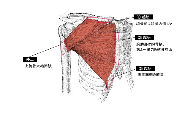 f:id:chi_tana:20170122180300p:plain:w560