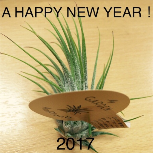 f:id:chiacafe:20170105174652j:image