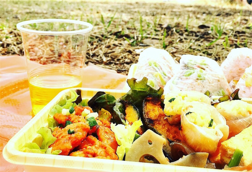f:id:chiahiyo:20180415155711j:image