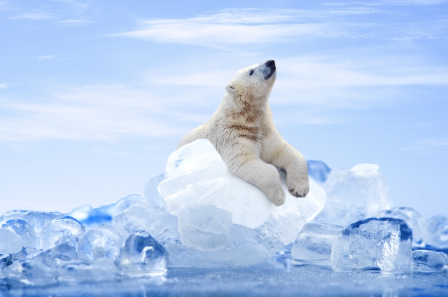 f:id:chiaki-s:20190319065645j:plain