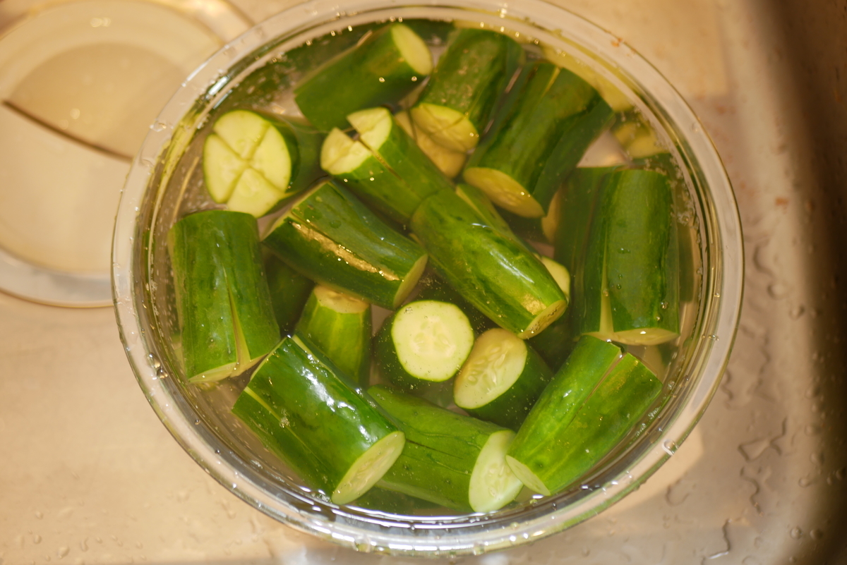 f:id:chiakippa:20190803212035j:plain