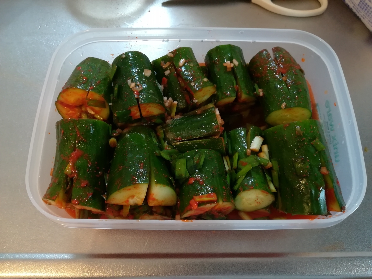 f:id:chiakippa:20190803212146j:plain