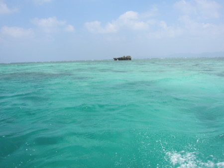 f:id:chianchun:20150124222353j:image