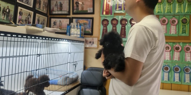 f:id:chiangrai2025:20251002163805j:image
