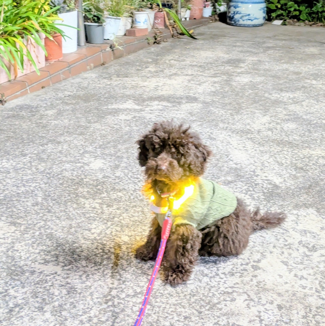 f:id:chiangrai2025:20260204054103j:image