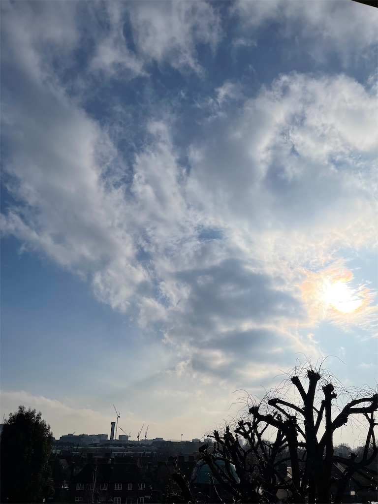 f:id:chiantosaurus114:20250214194451j:image