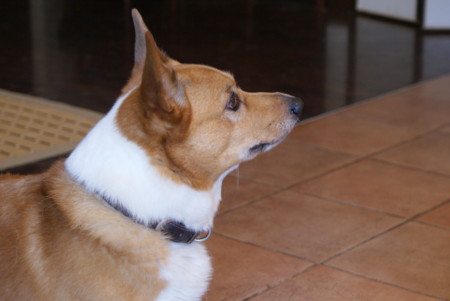 f:id:chiaozo:20080831105706j:image f:id:chiaozo:20080831105706j:image