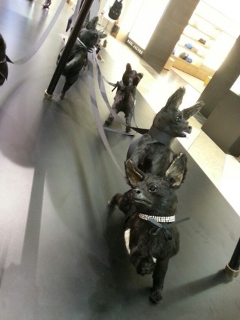 f:id:chiaozo:20120730145029j:image