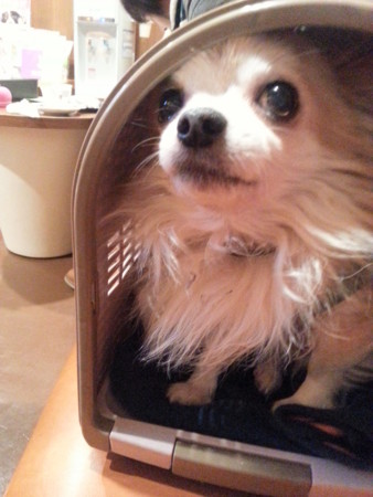 f:id:chiaozo:20130130113323j:image