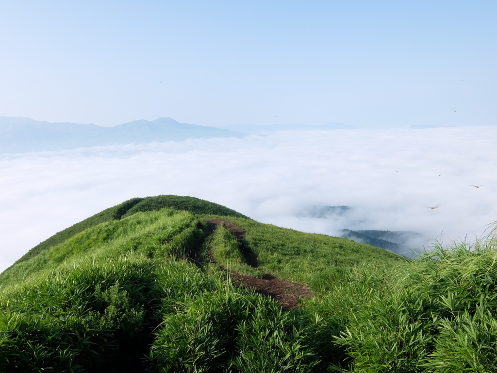 f:id:chiba-snow:20180619205212j:plain