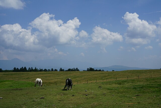 f:id:chiba-snow:20180817184351j:image