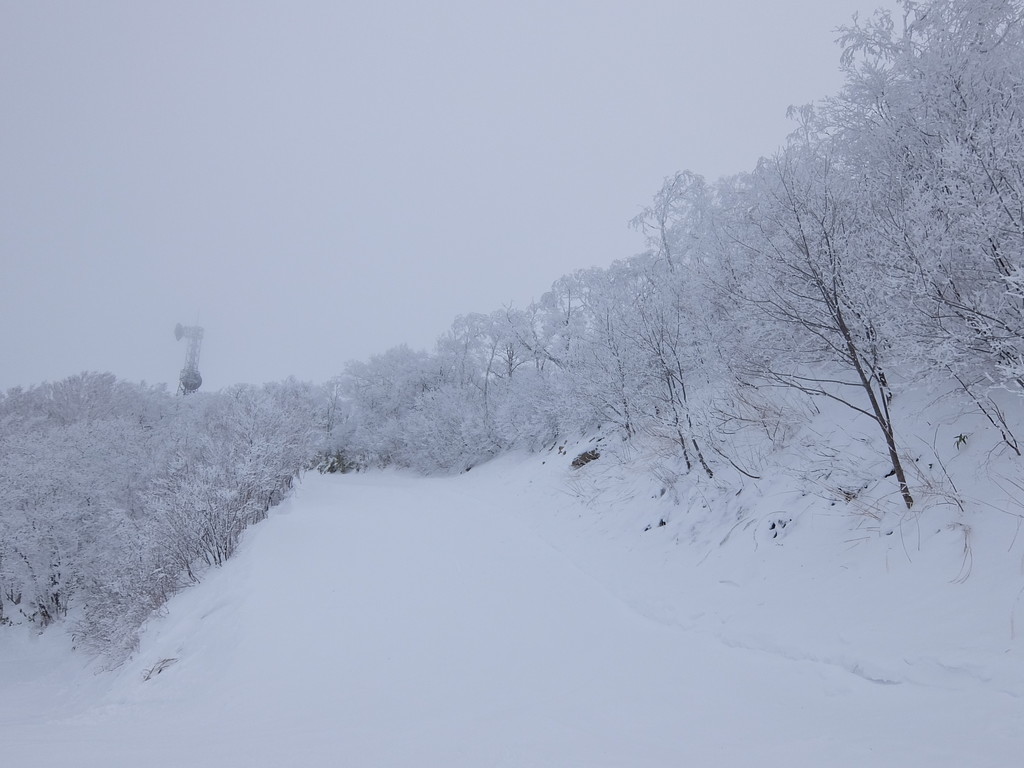 f:id:chiba-snow:20190104231440j:plain